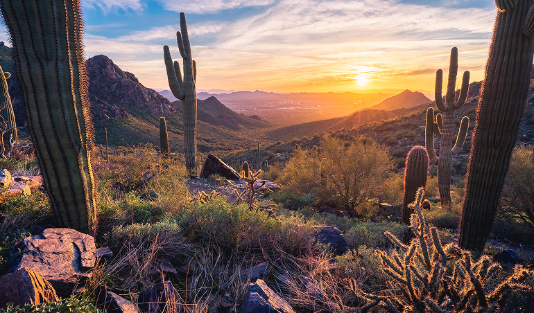Sunset over the McDowell Mountains in Arizona.