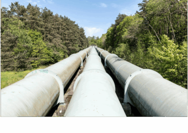 Large gas pipelines running through a forested area.