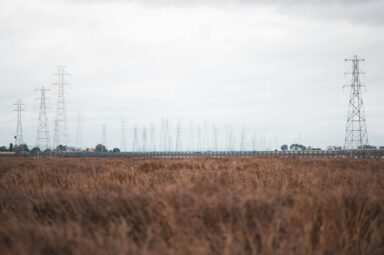 Rows of power transmission towers stretch across a dry field under an overcast sky.